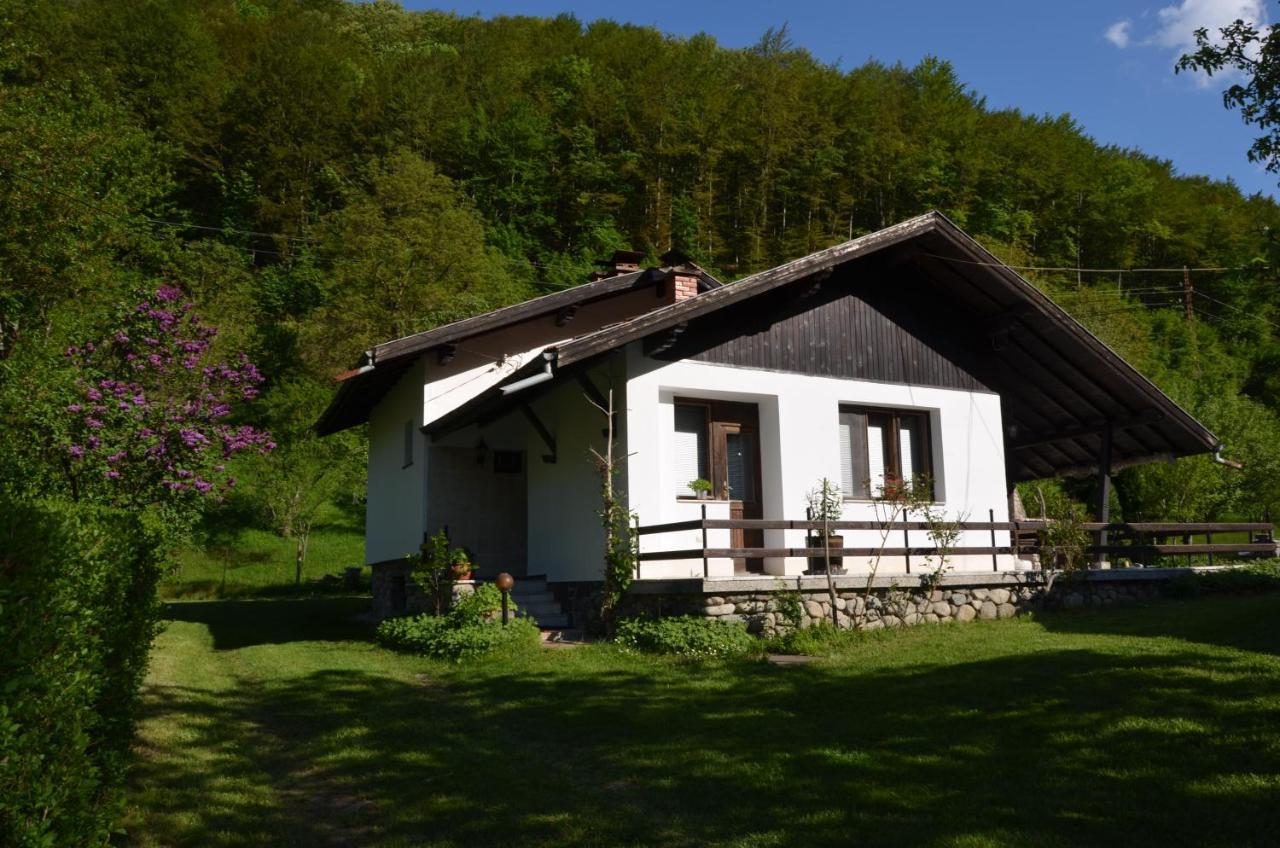 Вила Даяна Ribarica Exteriér fotografie