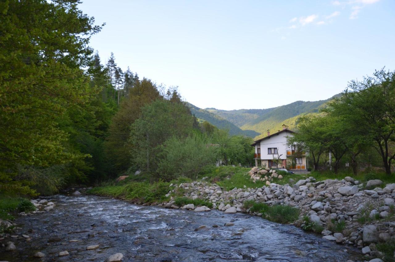 Вила Даяна Ribarica Exteriér fotografie