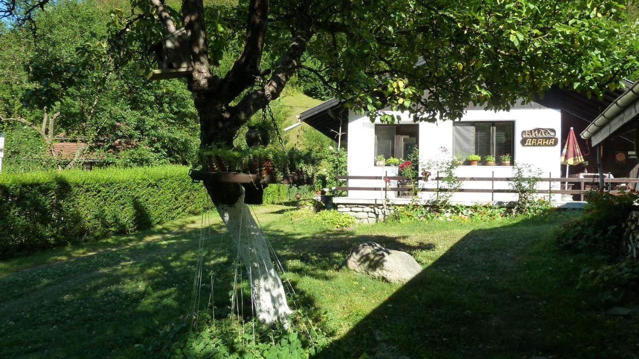 Вила Даяна Ribarica Exteriér fotografie